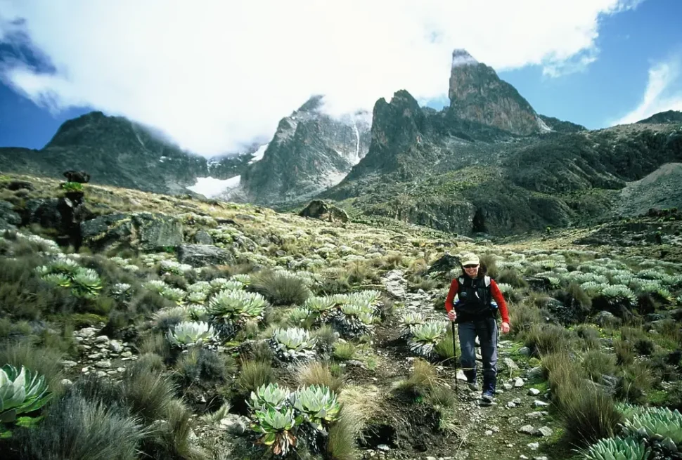 Trek Kenya : 7 Raisons de Partir en Randonnée Inoubliable au Cœur de la Nature Sauvage