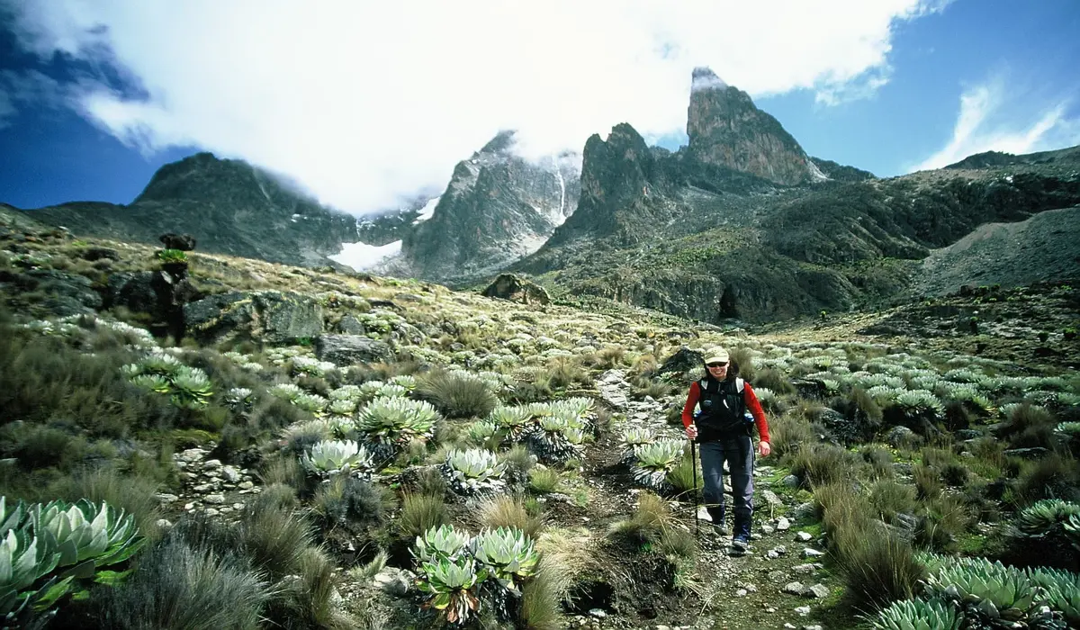 Trek Kenya : 7 Raisons de Partir en Randonnée Inoubliable au Cœur de la Nature Sauvage