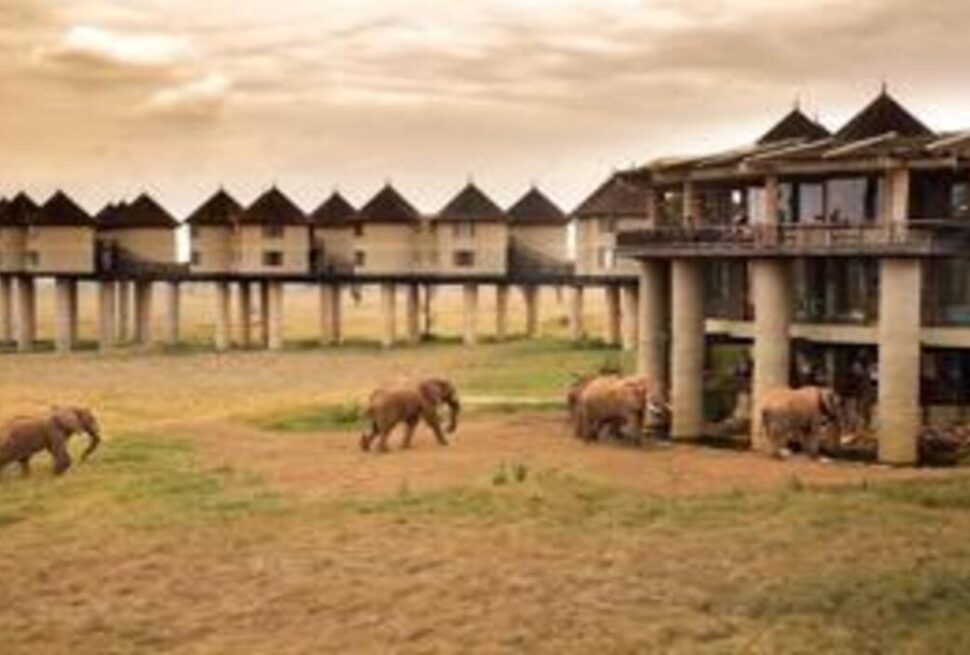 Taita Hills Kenya : Un Trésor Caché de la Nature Sauvage