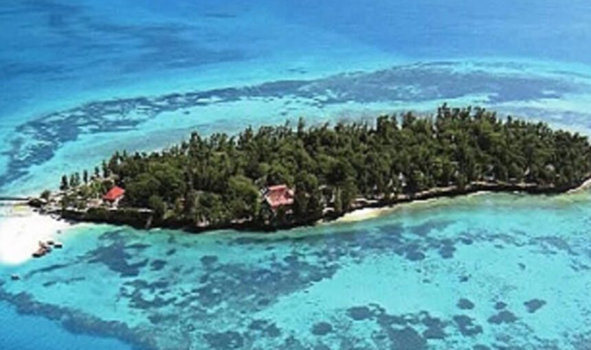 🌊 Île de Wasini : 7 Raisons de Découvrir ce Bijou Maritime au Sud du Kenya