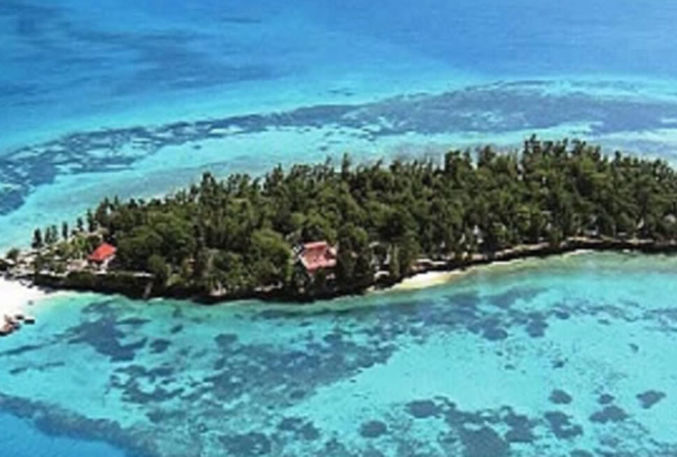 Île de Wasini : 7 Raisons de Découvrir ce Bijou Maritime au Sud du Kenya