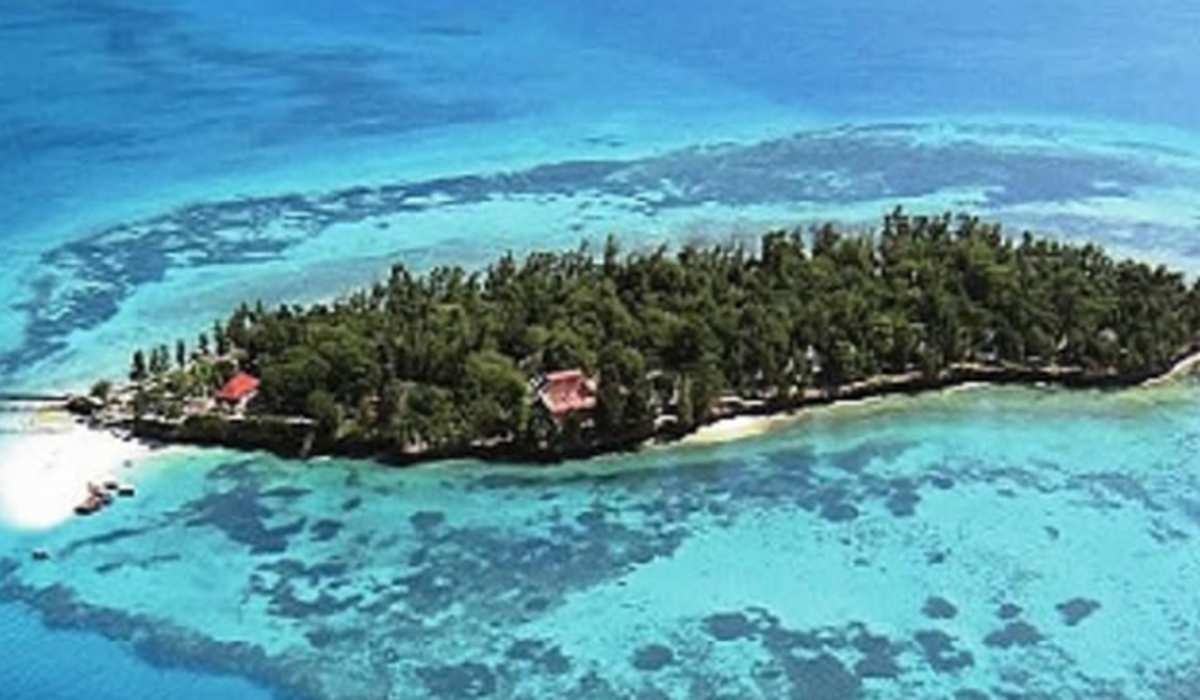 Île de Wasini : 7 Raisons de Découvrir ce Bijou Maritime au Sud du Kenya