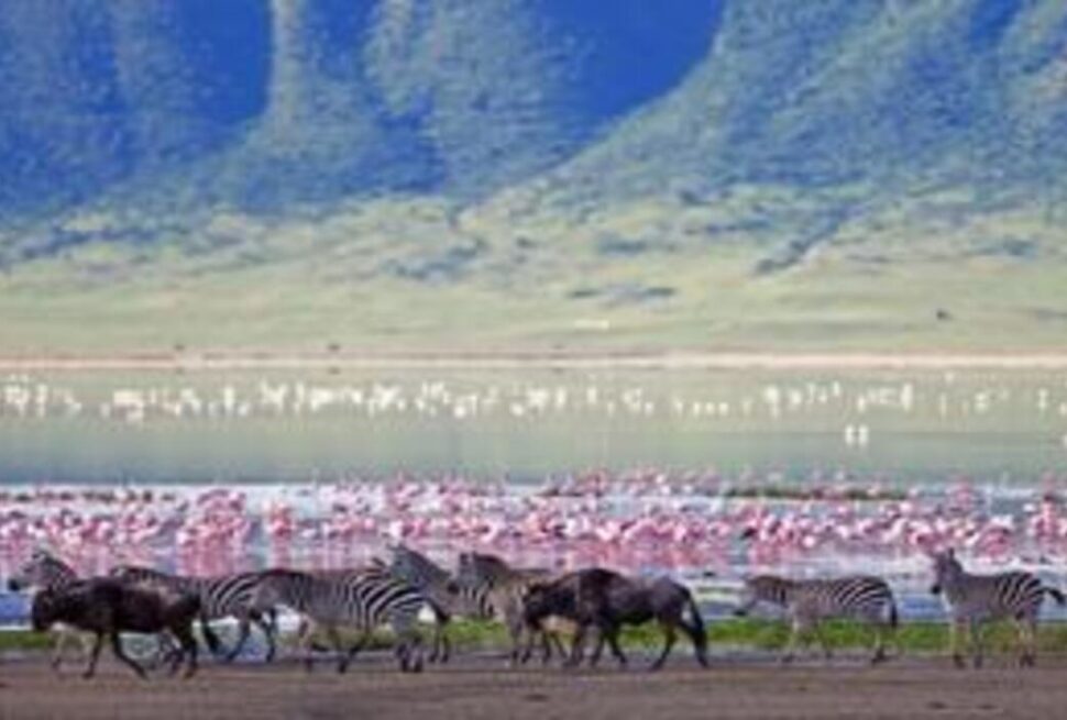 Lac Manyara : 7 Raisons Envoûtantes pour un Safari Inoubliable au Cœur de la Tanzanie