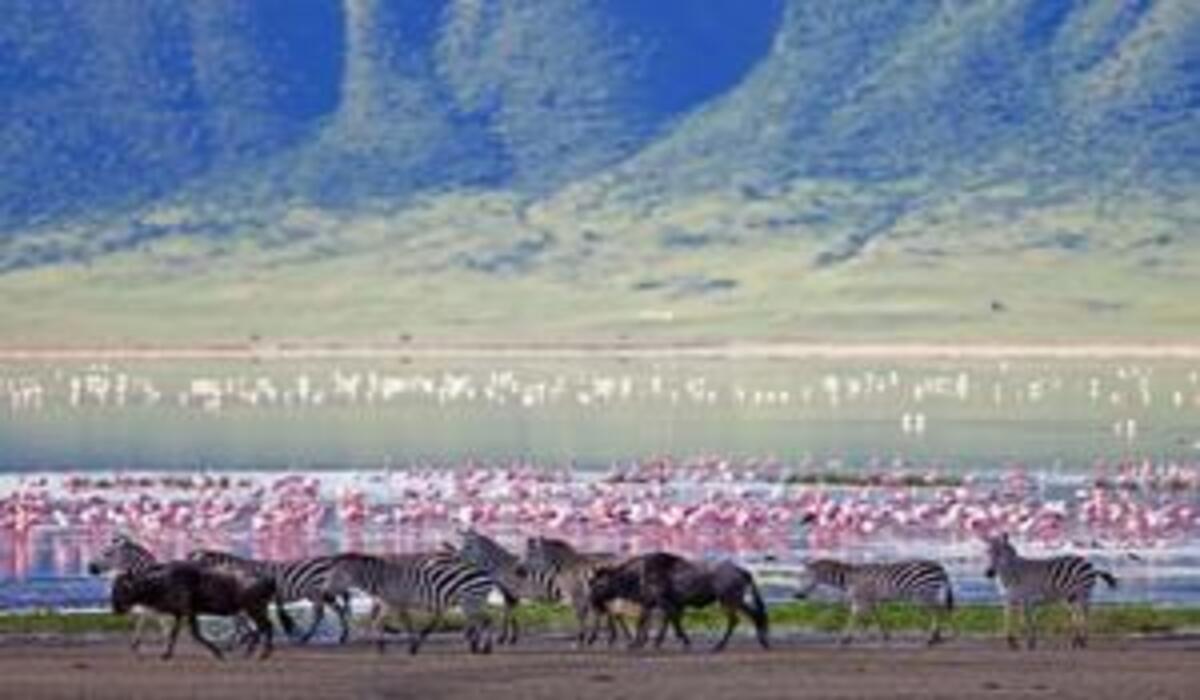 Lac Manyara : 7 Raisons Envoûtantes pour un Safari Inoubliable au Cœur de la Tanzanie