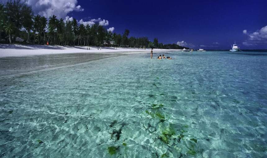 La Magie de Zanzibar : Safaris Inoubliables avec Tour Afrique Orientale