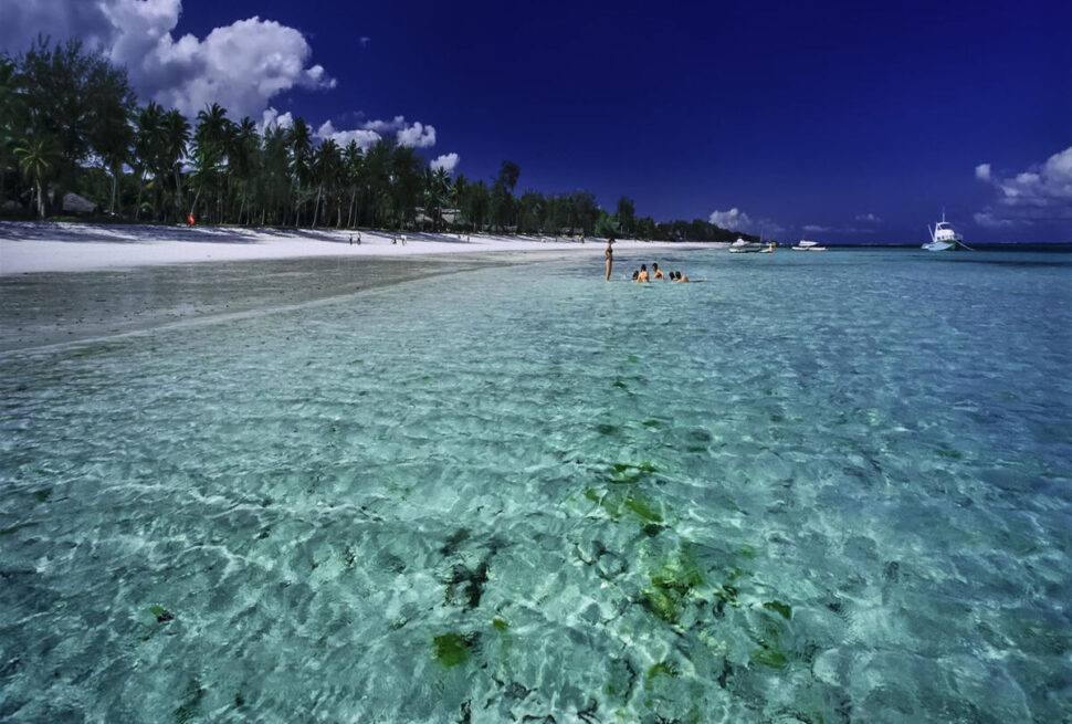 Les Meilleurs Safaris à Zanzibar