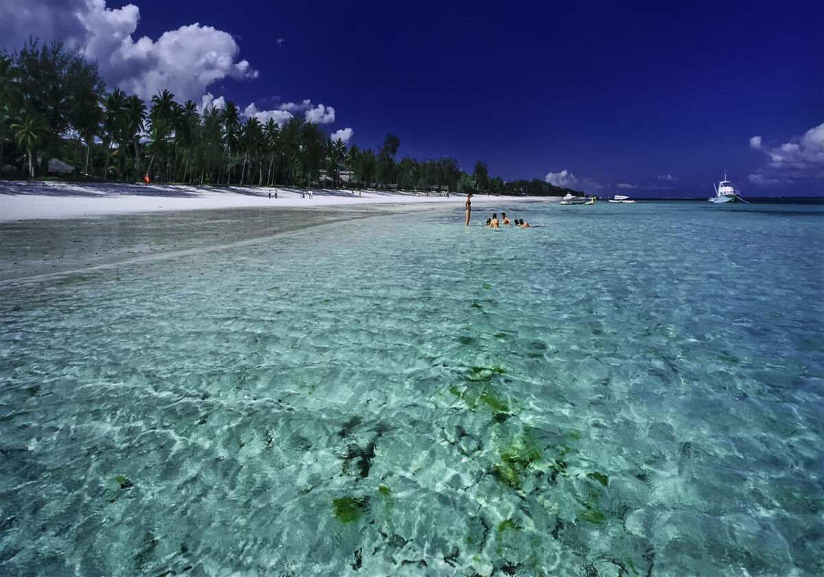 Les Meilleurs Safaris à Zanzibar