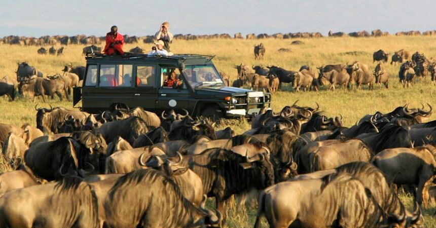 Serengeti & Maasai Mara : 8 Raisons Époustouflantes pour un Safari Inoubliable