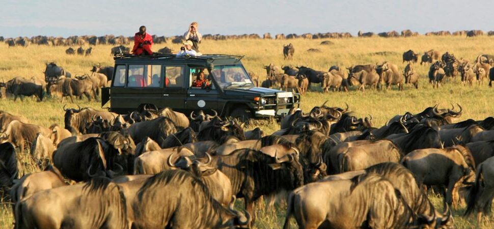 Serengeti & Maasai Mara : 8 Raisons Époustouflantes pour un Safari Inoubliable