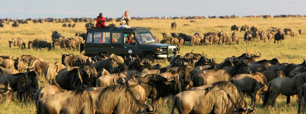Serengeti & Maasai Mara : 8 Raisons Époustouflantes pour un Safari Inoubliable