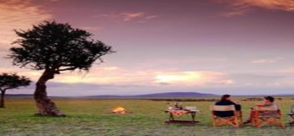 Serengeti & Maasai Mara : 8 Raisons Époustouflantes pour un Safari Inoubliable