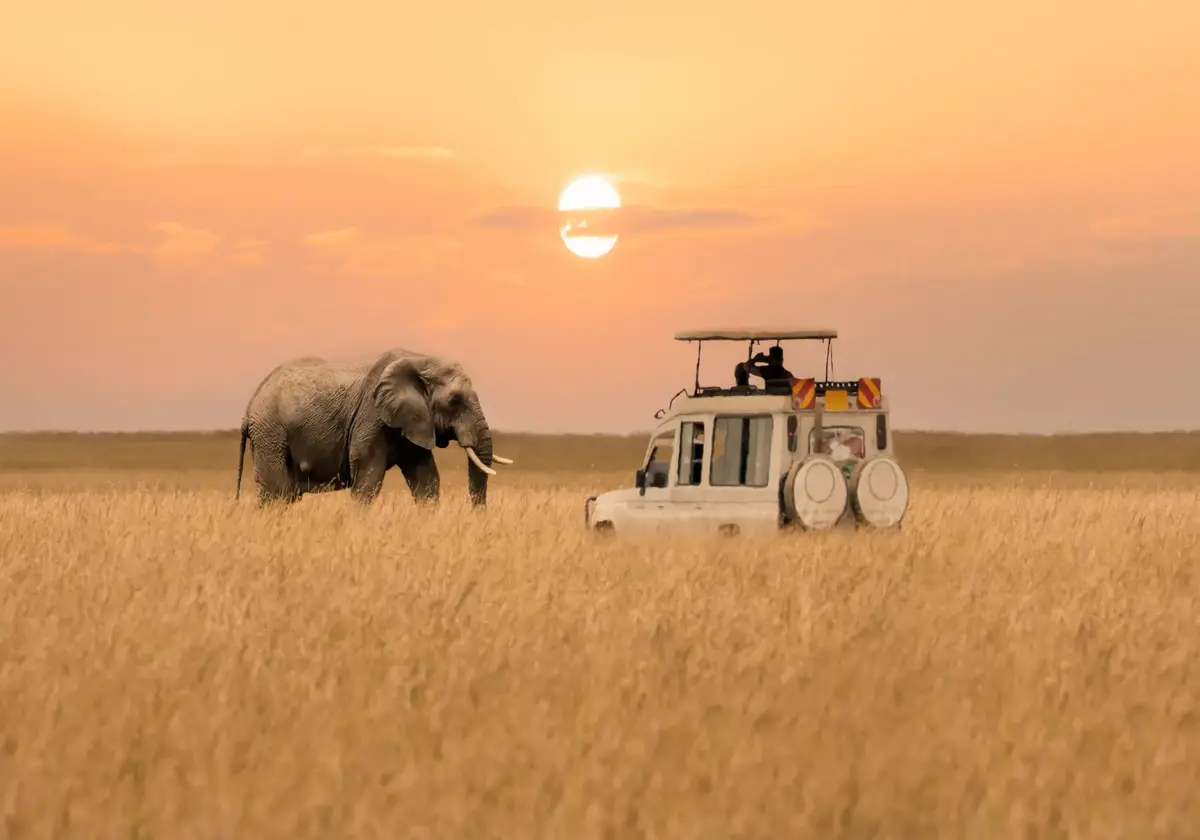 Savanes et couchers de soleil : les merveilles sauvages du Kenya en safari routier