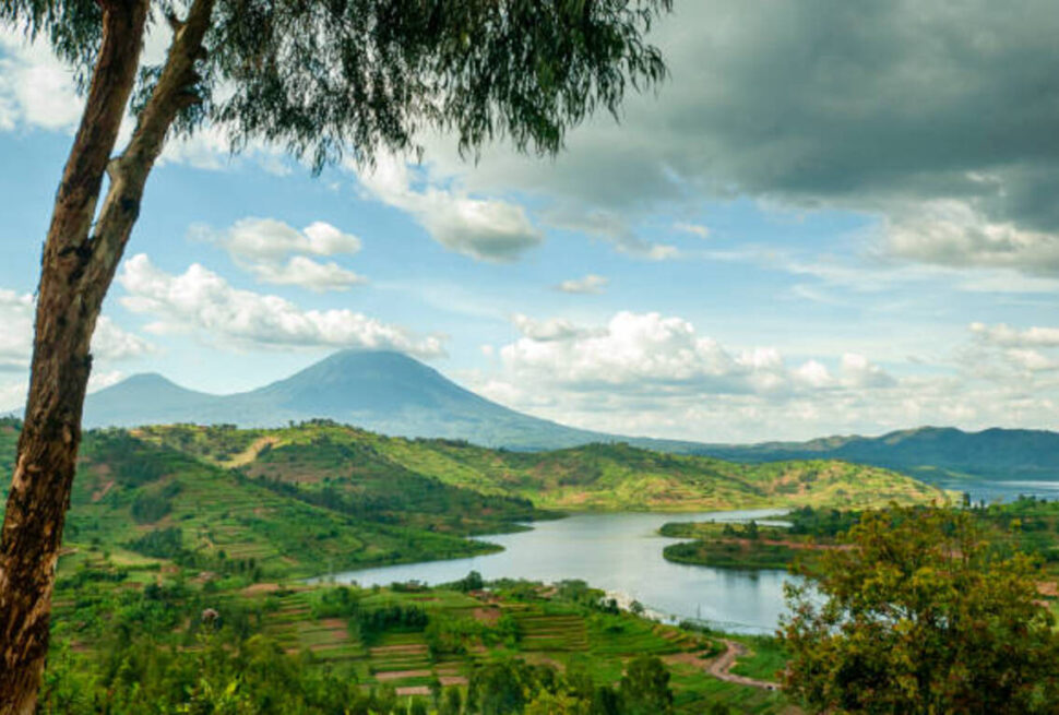 Safari au Rwanda : Trekking des Gorilles, Faune Sauvage et Expériences Culturelles