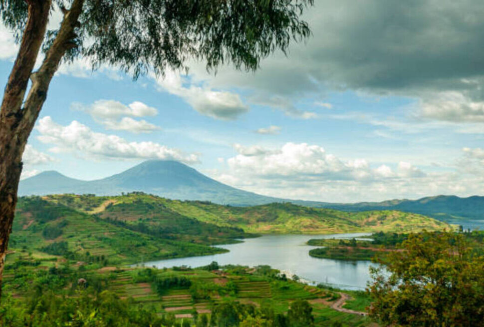 Safari en Ouganda 2025 : Trekking Gorilles et Circuits Aventure