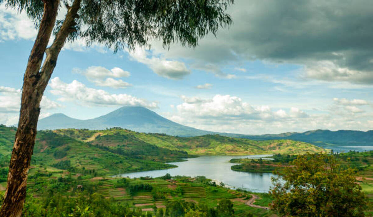Safari en Ouganda 2025 : Trekking Gorilles et Circuits Aventure