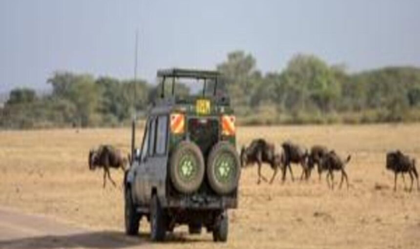 🌍 Circuits en groupe – Départs fixes pour voyageurs solo et petits budgets