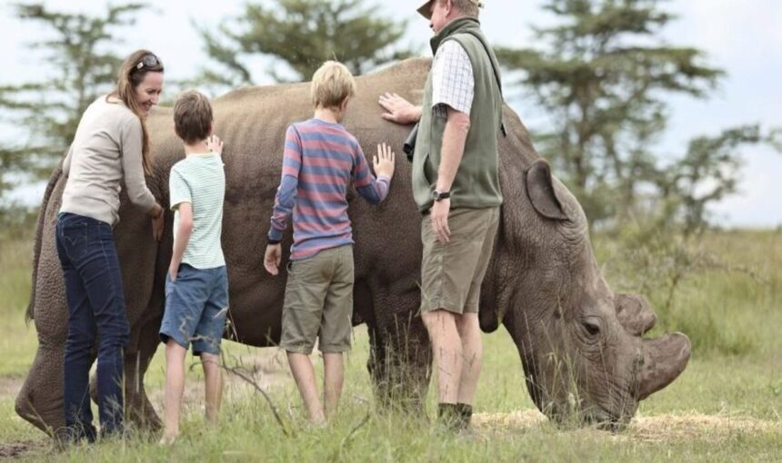 7 Raisons de Choisir un Voyage Safari en Afrique en Famille