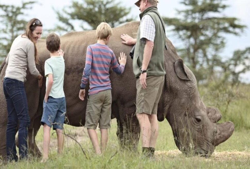 Experts des Safaris Sur Mesure et Responsables