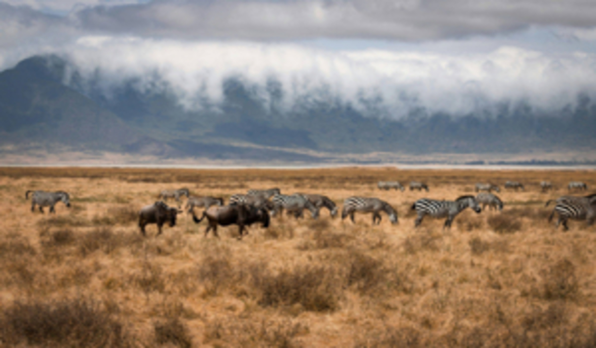 Découvrez les Paysages Époustouflants d'Afrique de l'Est 2025