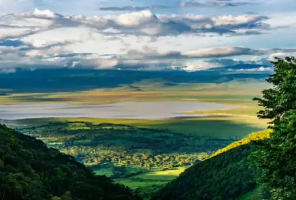 Cratère du Ngorongoro 2025 : Safari Luxe et Merveilles Naturelles en Tanzanie