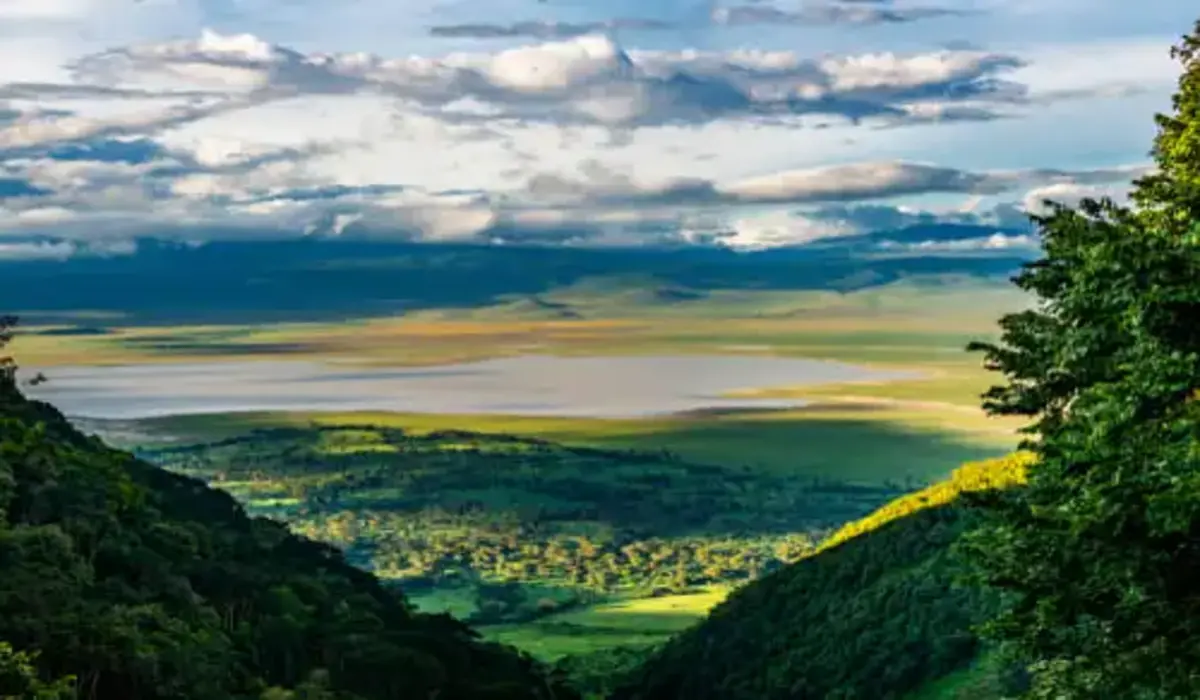Cratère du Ngorongoro 2025 : Safari Luxe et Merveilles Naturelles en Tanzanie