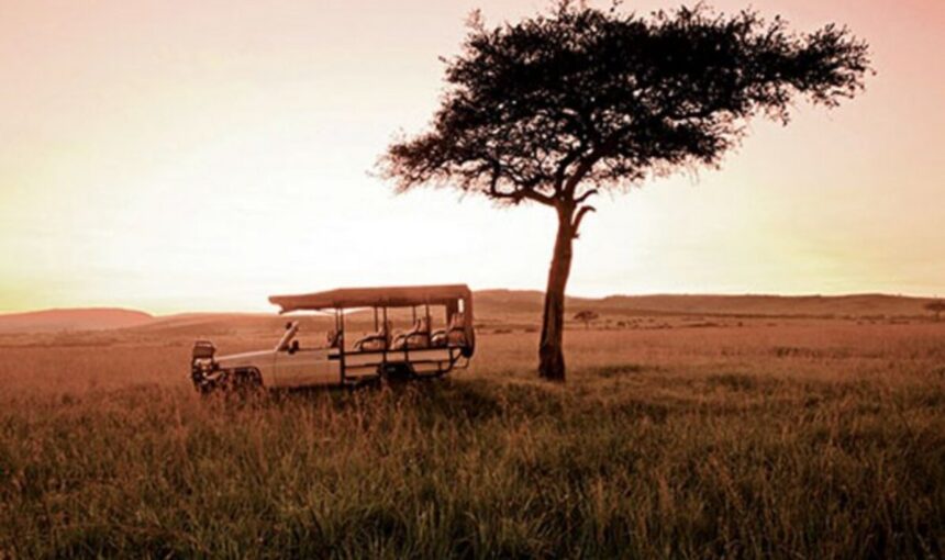 Voyage éco-responsable – Tourisme communautaire, lodges axés sur la conservation