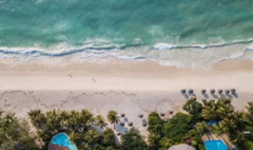 Vacances à la plage : Détente sur les plages de l’océan Indien à Diani, Zanzibar, Malindi