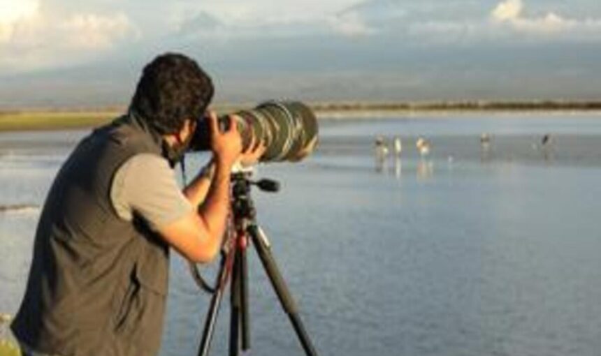 Safaris photographiques – Avec des guides professionnels pour la photographie animalière et paysagère 🦁📷