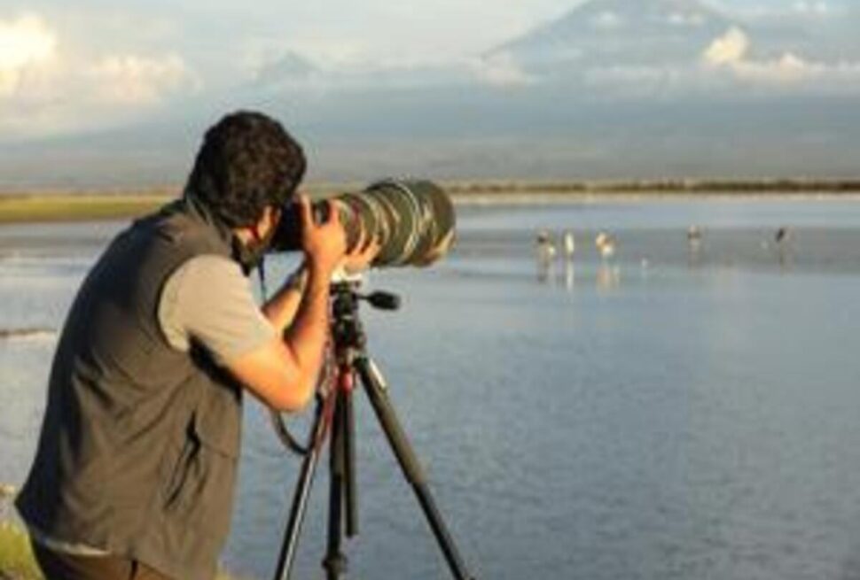 Safaris photographiques – Avec des guides professionnels pour la photographie animalière et paysagère