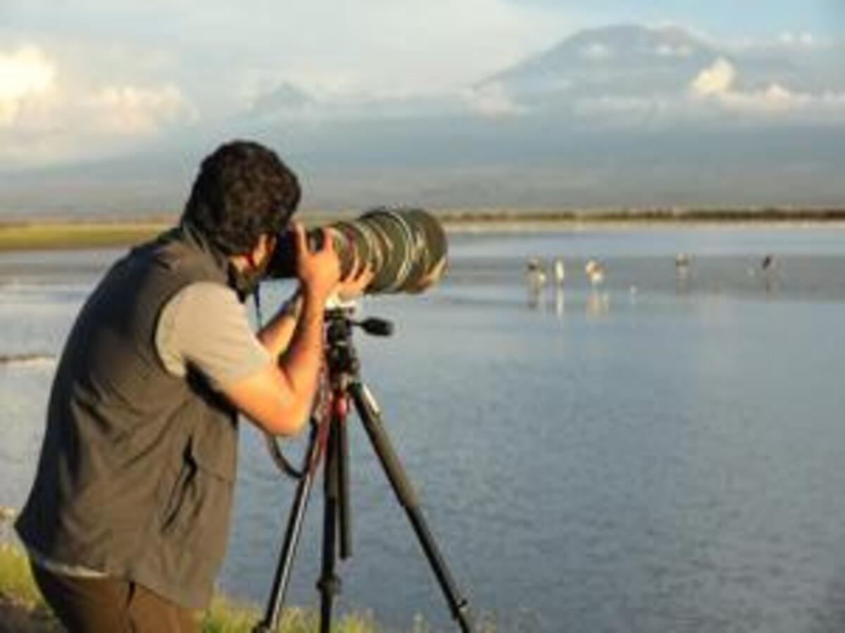 Safaris photographiques – Avec des guides professionnels pour la photographie animalière et paysagère