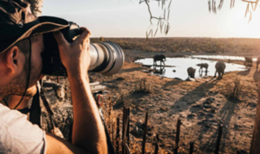 Coûts Cachés des Safaris : Ce qui n’est Pas Inclus dans Votre Forfait