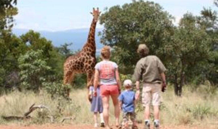 Safaris en Famille en Afrique : Conseils de Sécurité & Lodges Adaptés aux Enfants
