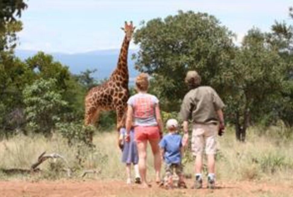 Safaris en Famille en Afrique : Conseils de Sécurité & Lodges Adaptés aux Enfants