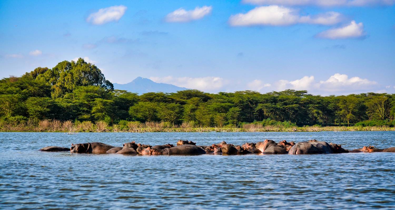 🇰🇪 10 Incontournables à Voir Absolument au Kenya en 2025 🌍