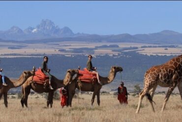 Lewa Wildlife Conservancy : La Réserve de Conservation Incontournable du Kenya