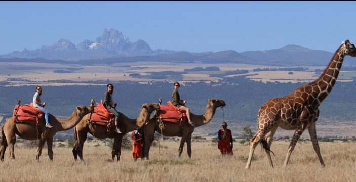 Lewa Wildlife Conservancy : La Réserve de Conservation Incontournable du Kenya