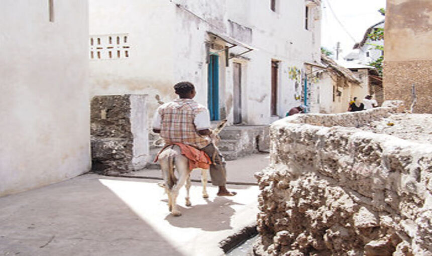 7 Sites Culturels en Afrique de l’Est à Inscrire sur Votre Carte pour Votre Aventure Safa