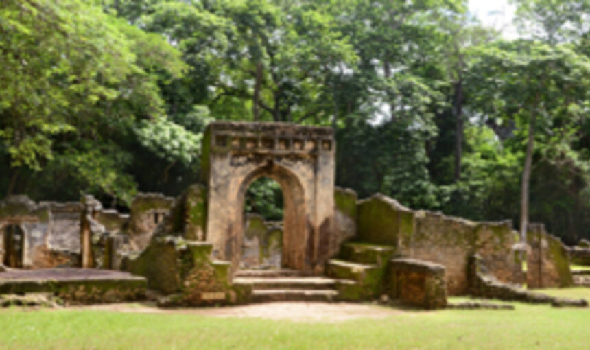 Découvrez les Parcs UNESCO d’Afrique de l’Est : 7 Sites Époustouflants Où Safaris et Patrimoine se Rencontrent