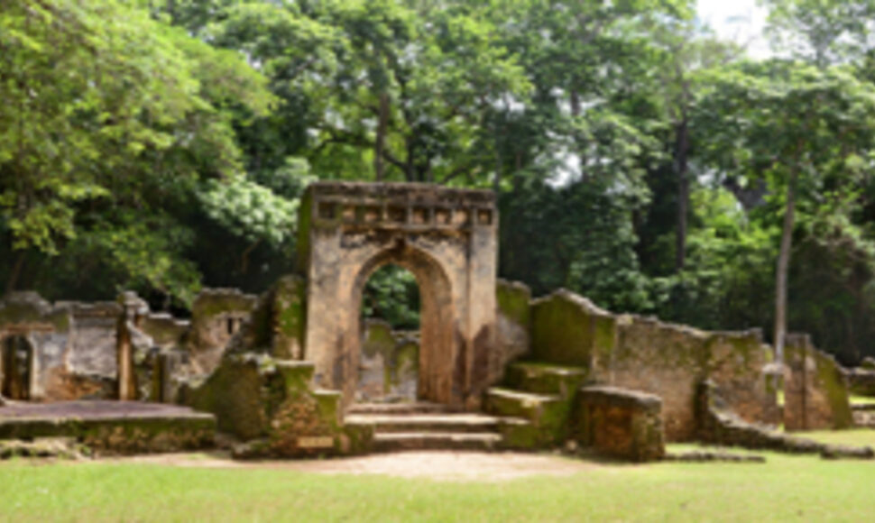 Découvrez les Parcs UNESCO d'Afrique de l'Est : 7 Sites Époustouflants Où Safaris et Patrimoine se Rencontrent