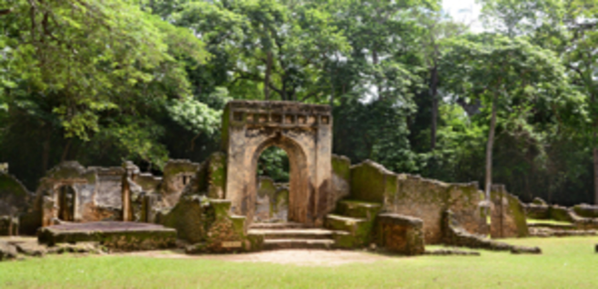 Découvrez les Parcs UNESCO d'Afrique de l'Est : 7 Sites Époustouflants Où Safaris et Patrimoine se Rencontrent