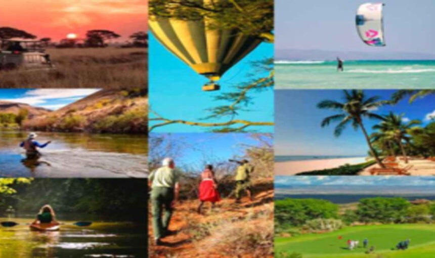 Que voir au Kenya : 10 Merveilles à Ne Pas Manquer lors de Votre Safari