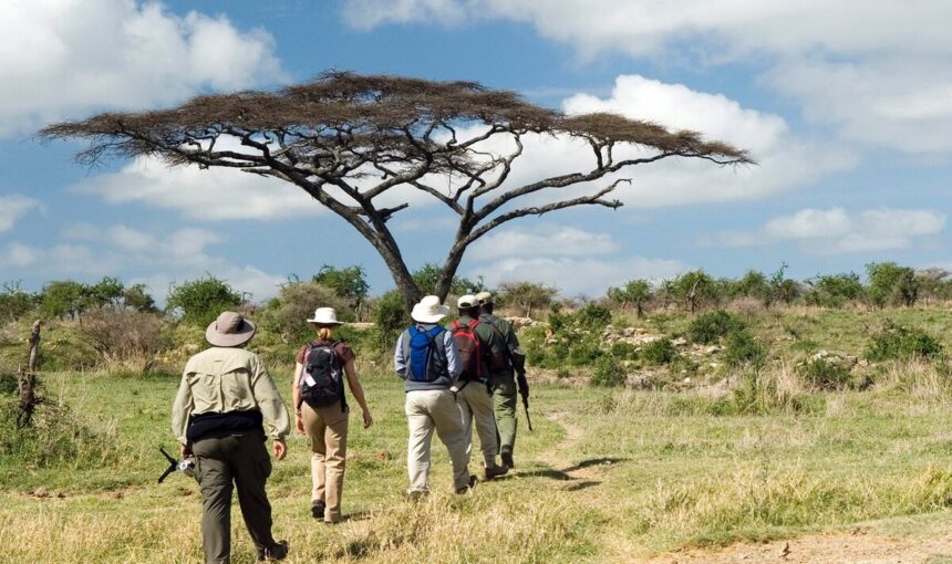 7 Spectaculaires Raisons de Planifier un Family Safari en Décembre en Afrique