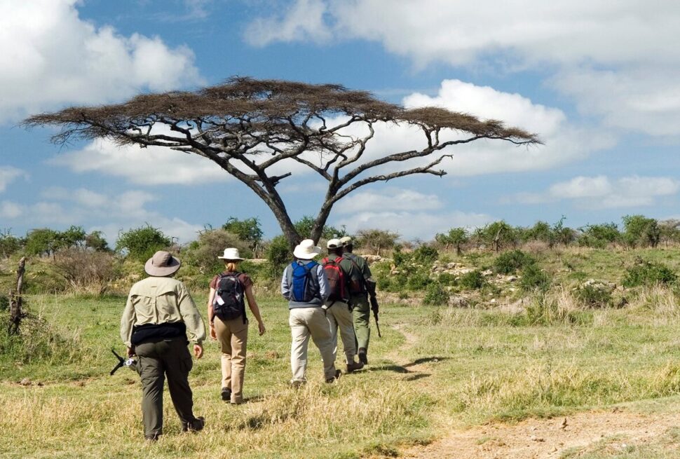 7 Spectaculaires Raisons de Planifier un Family Safari en Décembre en Afrique