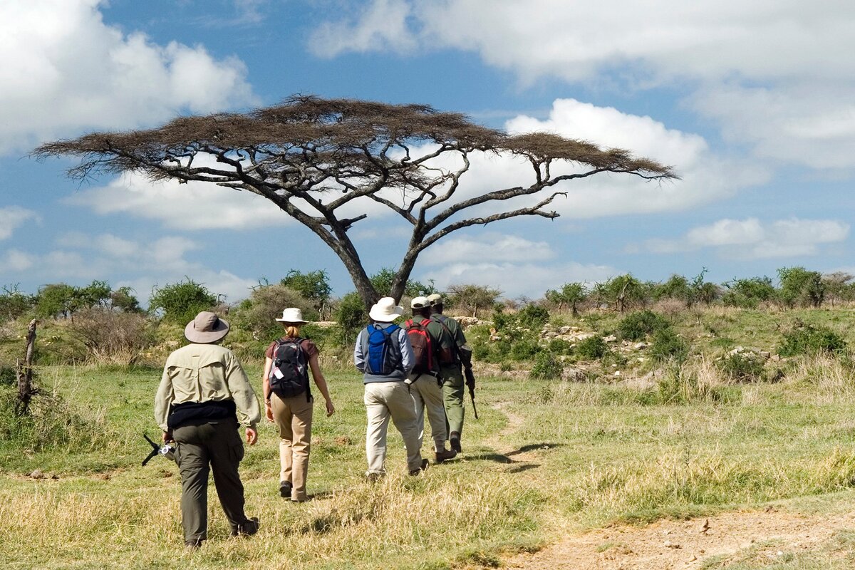 7 Spectaculaires Raisons de Planifier un Family Safari en Décembre en Afrique