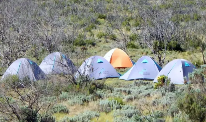 7 Expériences Spectaculaires de Wild Camping en Solo au Kenya