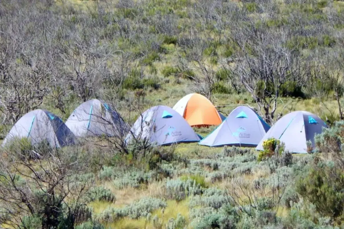 7 Expériences Spectaculaires de Wild Camping en Solo au Kenya