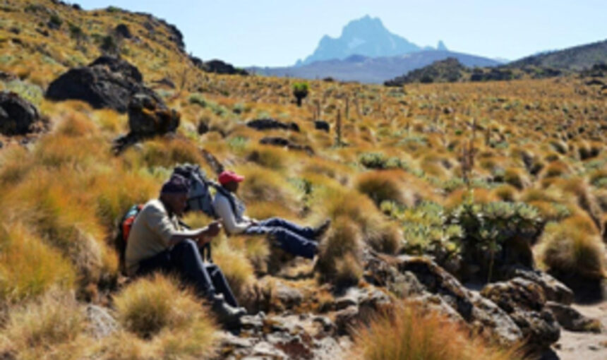 7 Raisons Spectaculaires de Rejoindre un Groupe pour le Trekking au Mont Kenya