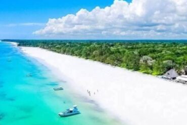 5 Expériences Magiques d'une Excursion d'une Journée de Diani à Mombasa 7 Façons Spectaculaires de Voyager de Mombasa à Zanzibar pour un Safari et une Aventure Balnéaire Inoubliables