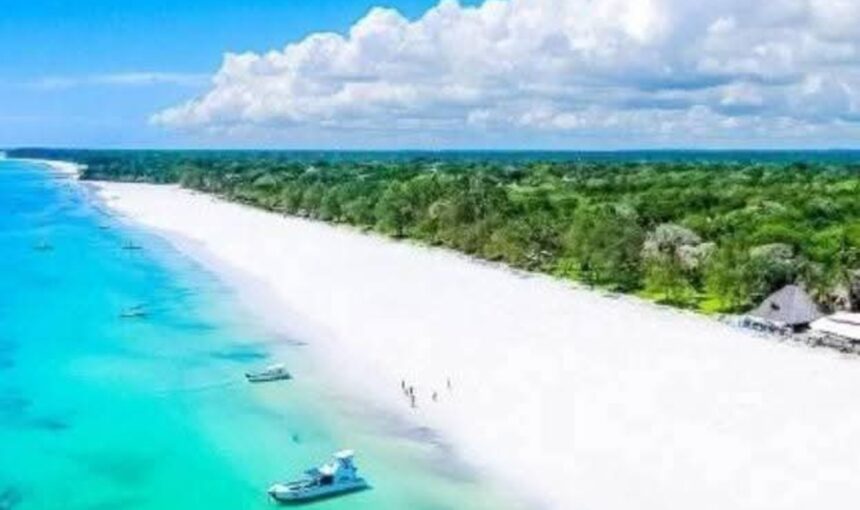 5 Expériences Magiques d’une Excursion d’une Journée de Diani à Mombasa