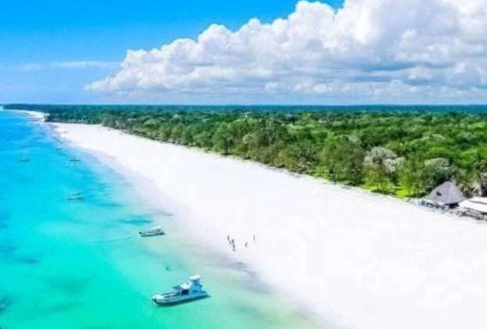 7 Façons Spectaculaires de Voyager de Mombasa à Zanzibar pour un Safari et une Aventure Balnéaire Inoubliables